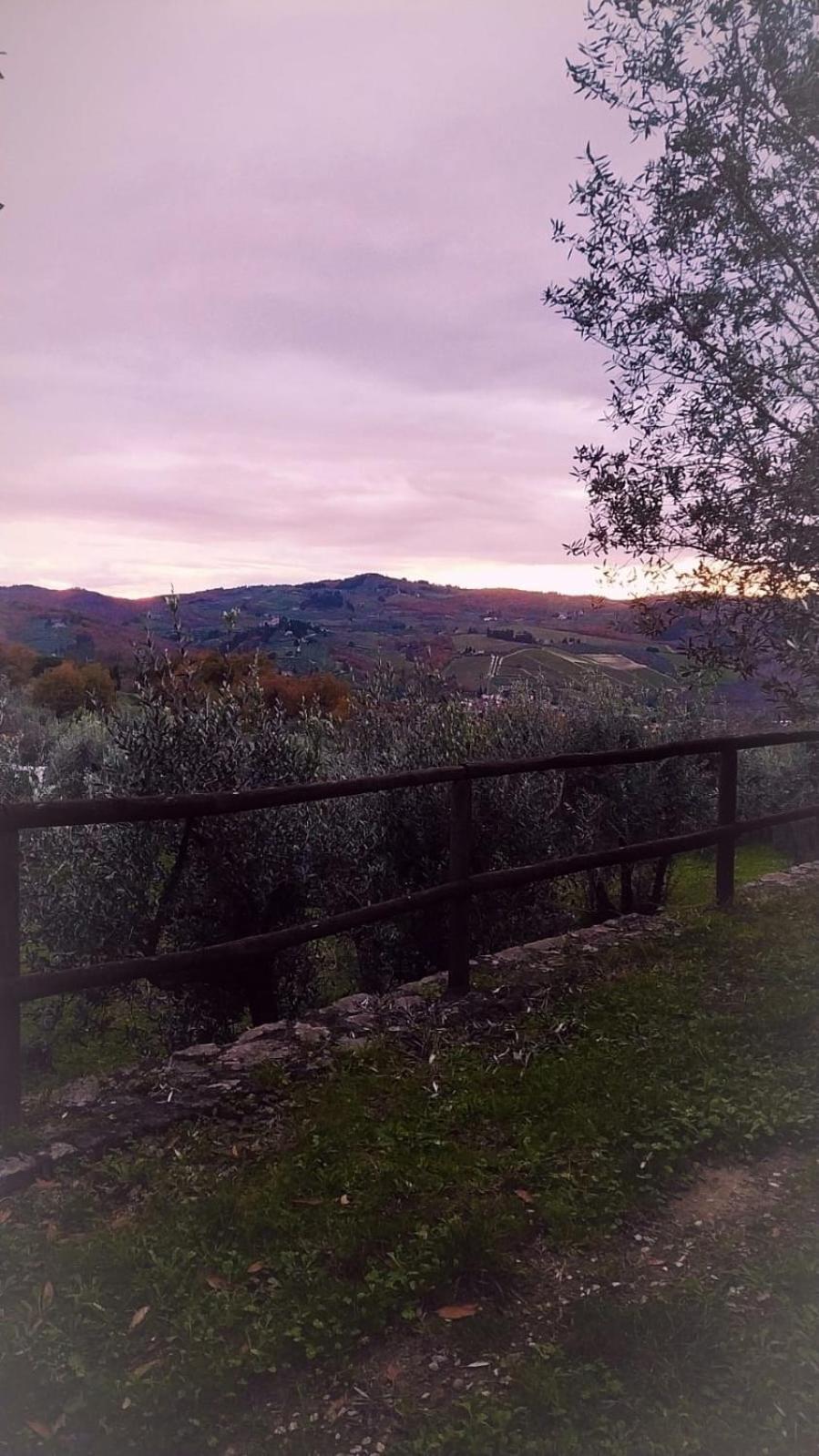 Agriturismo La Camporena Greve in Chianti Εξωτερικό φωτογραφία
