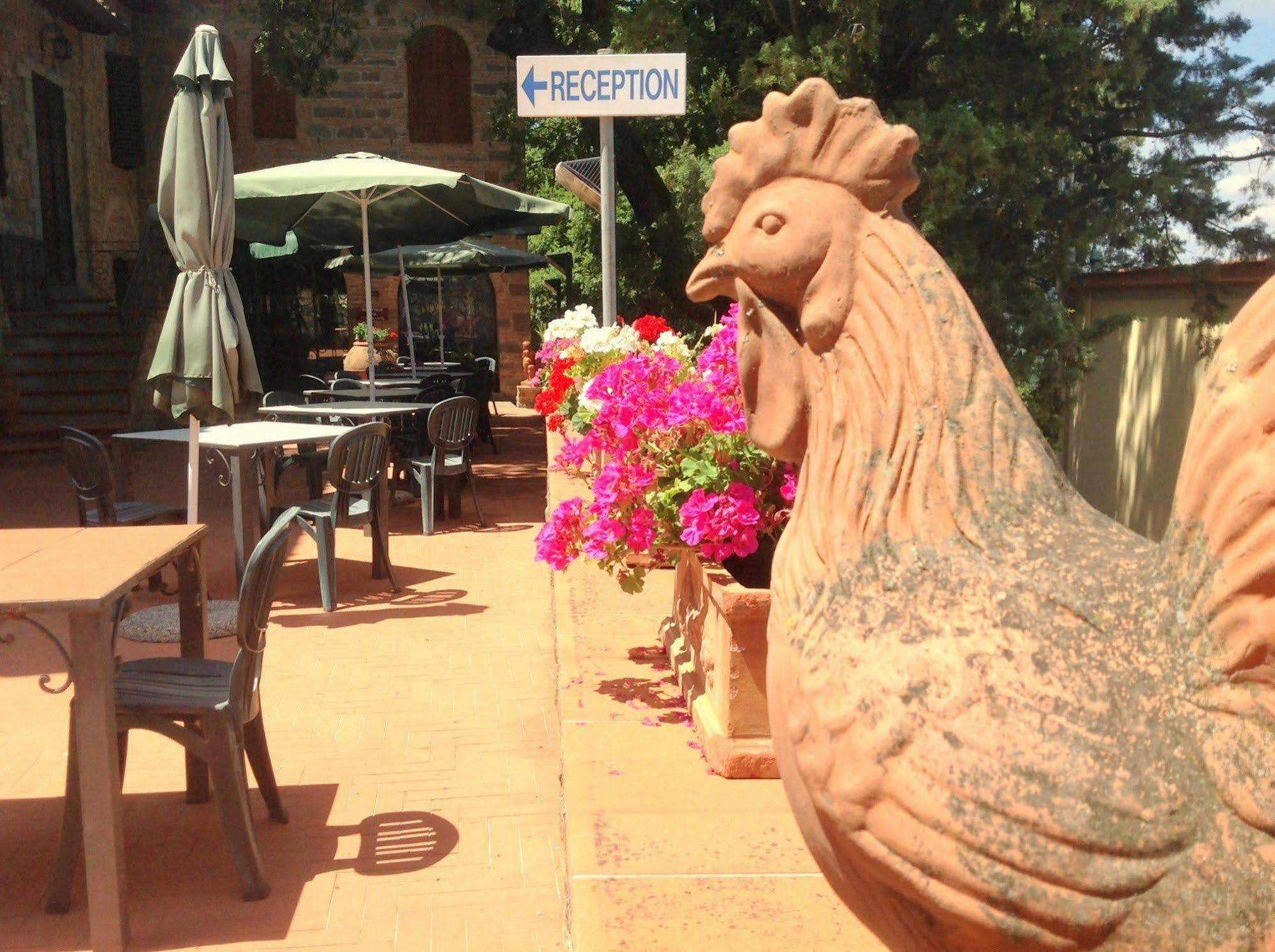 Agriturismo La Camporena Greve in Chianti Εξωτερικό φωτογραφία
